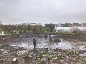 奈曼河道鱼塘清淤
